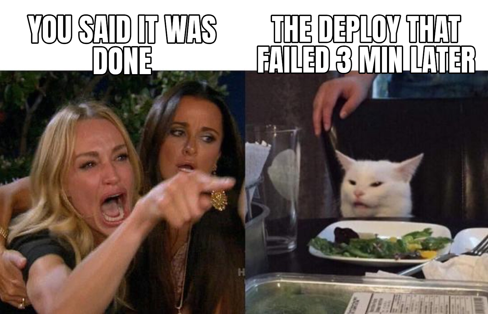 rendered woman yelling at cat meme